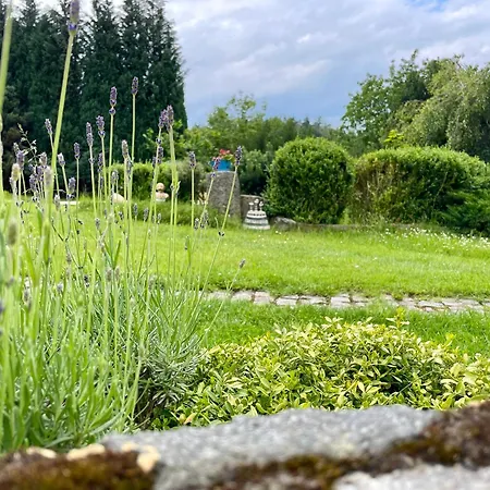 U Mluvících Kamenů Apartmán Stare Krecany