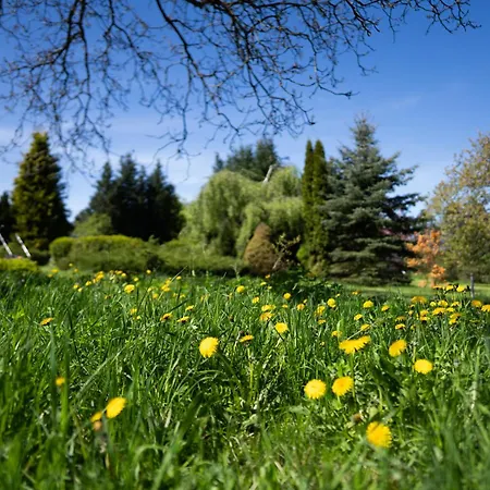 U Mluvících Kamenů Apartmán Stare Krecany